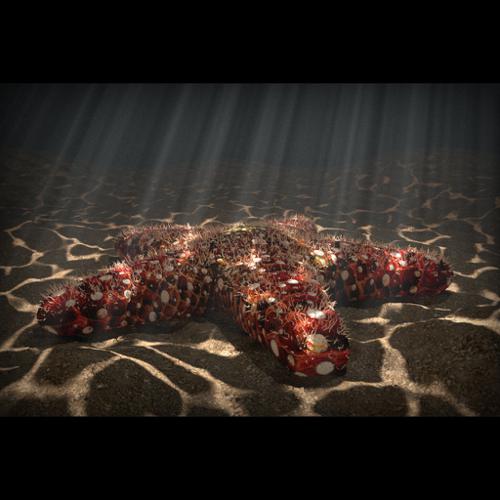 Starfish with volumetric fog and fake caustics preview image